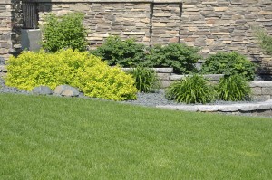 Retaining Wall Services