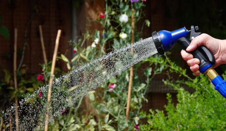 Watering Plants during a drought