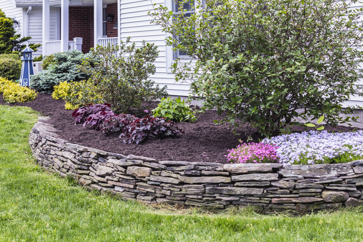 Creating a Low-Maintenance Landscape Tips for Busy Homeowners